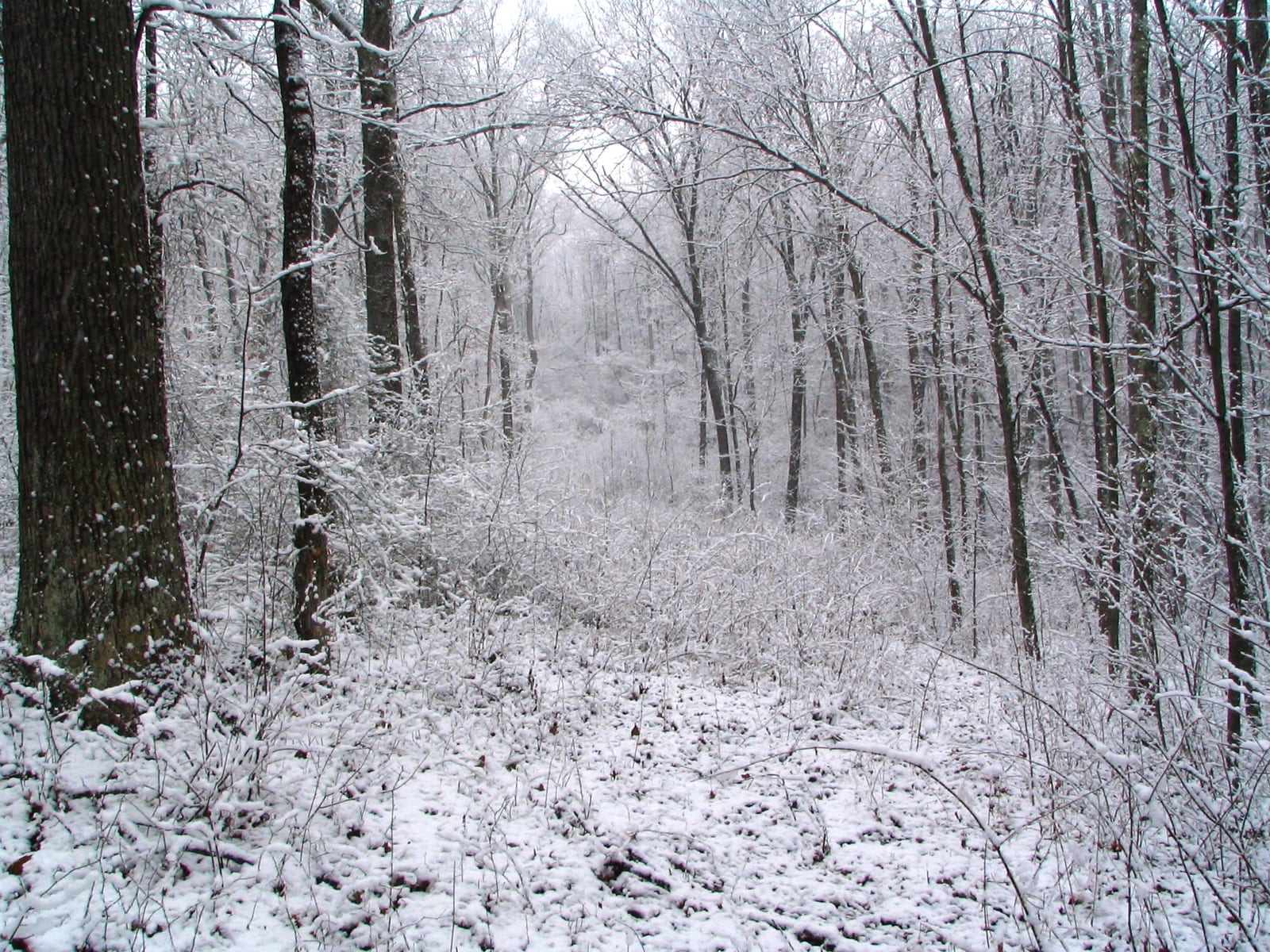 2006-02-11-18h14m45.jpg