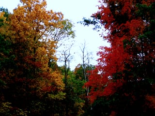 2007-10-19-22h37m20.JPG