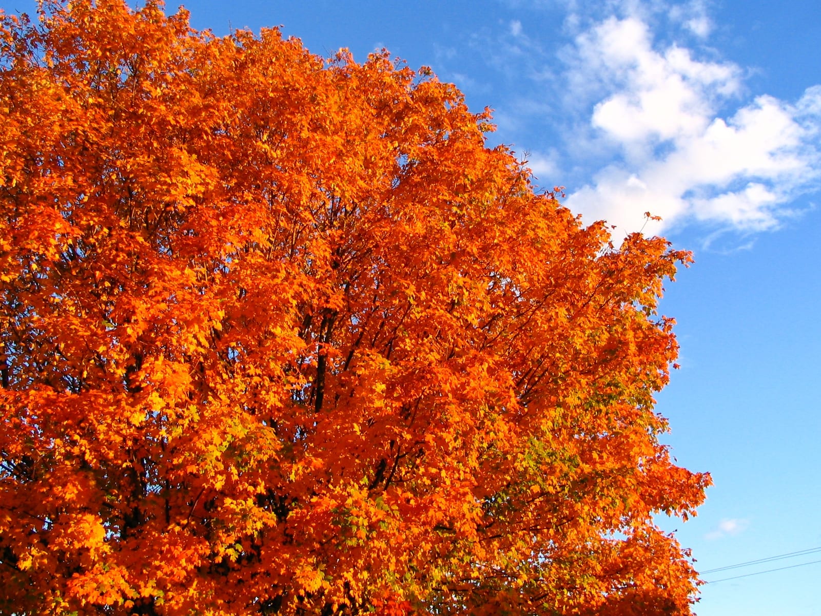 2007-10-25-23h21m56.JPG
