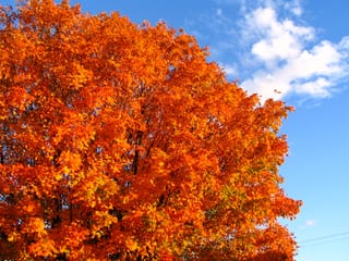 2007-10-25-23h21m56.JPG
