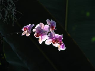 2008-03-17-12h49m15.JPG