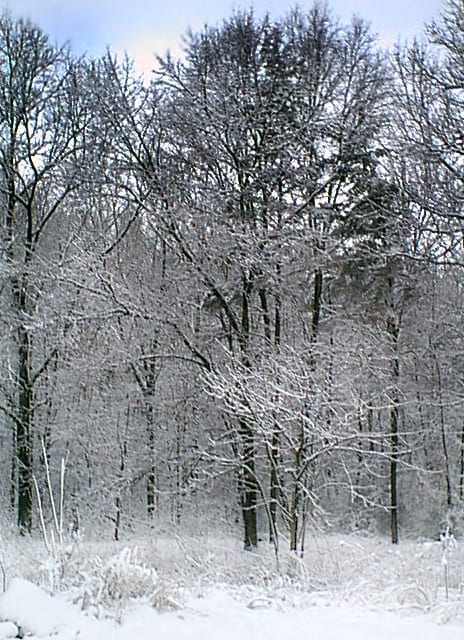 2008-10-04-15h56m29-1.jpg
