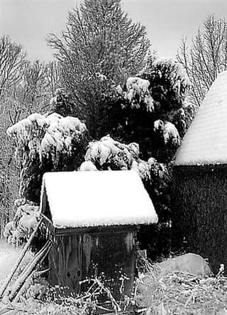 2008-10-04-15h56m29-2.jpg