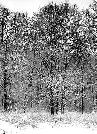 2008-10-04-15h56m29.jpg
