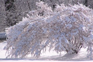 2009-01-30-22h24m07.JPG