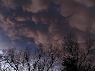 2009-02-11-23h10m29.JPG