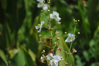 2013-06-21-14h53m06.JPG