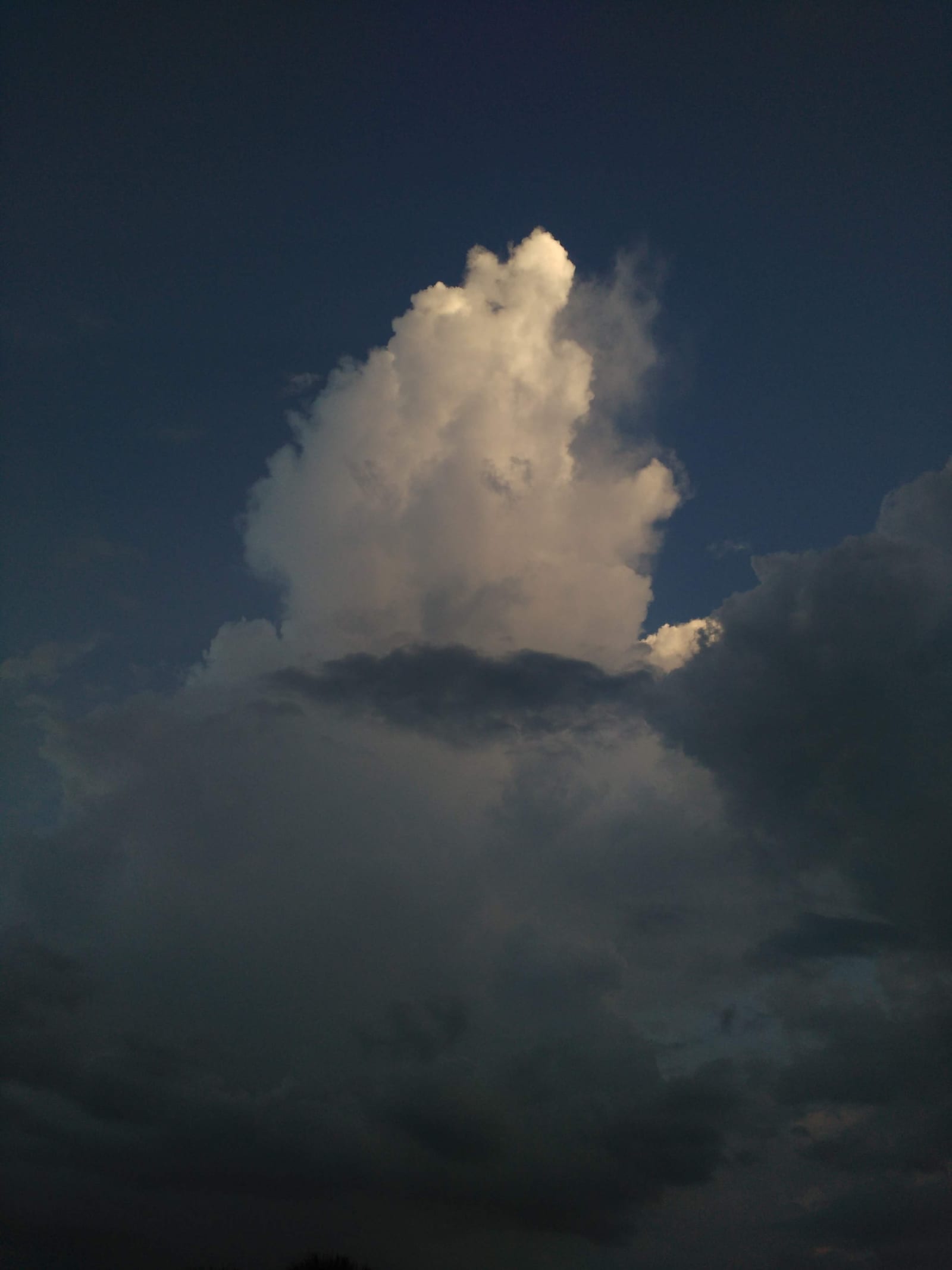 2016-07-06-19h58m23.jpg