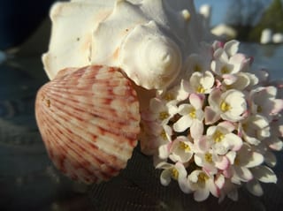 2018-04-26-19h22m55.jpg