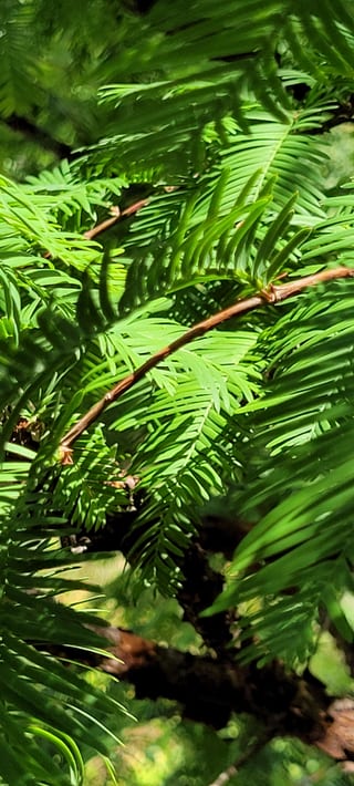 2022-08-06-15h13m42.jpg