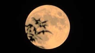 2022-10-09-20h17m17.jpg