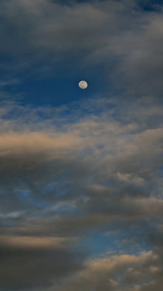 2023-03-04-18h08m52.jpg