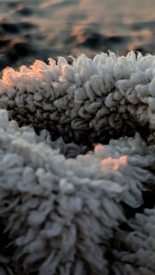 Blanket.230329.jpg