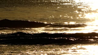 GoldenSurf.230330.1.1.jpg