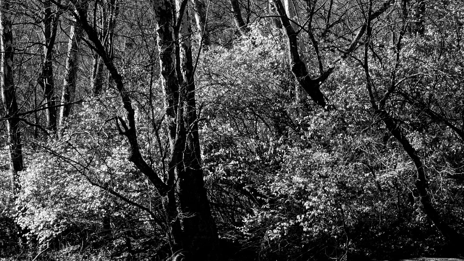 PXL_20221106_163920712~2.jpg
