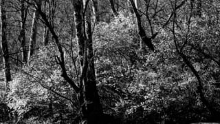 PXL_20221106_163920712~2.jpg