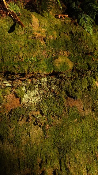 PXL_20221203_204847690.jpg