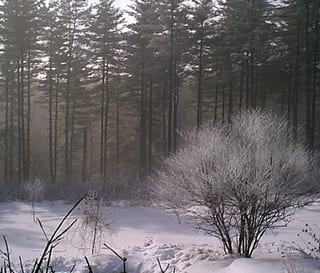Snow.Untitled-011.jpg