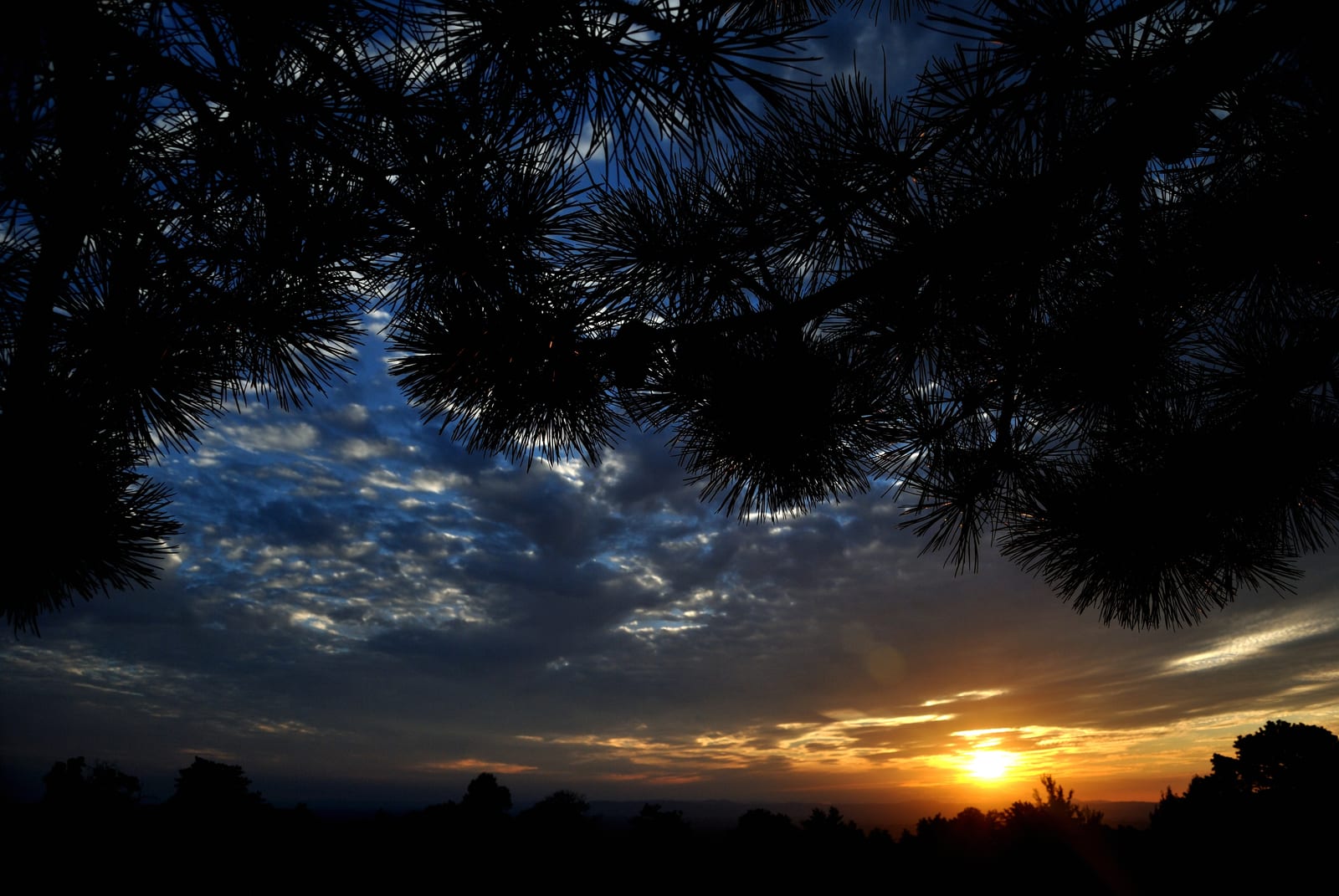 Sunset-20180707T202842.jpg