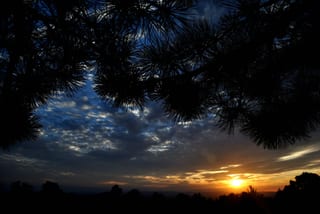 Sunset-20180707T202842.jpg
