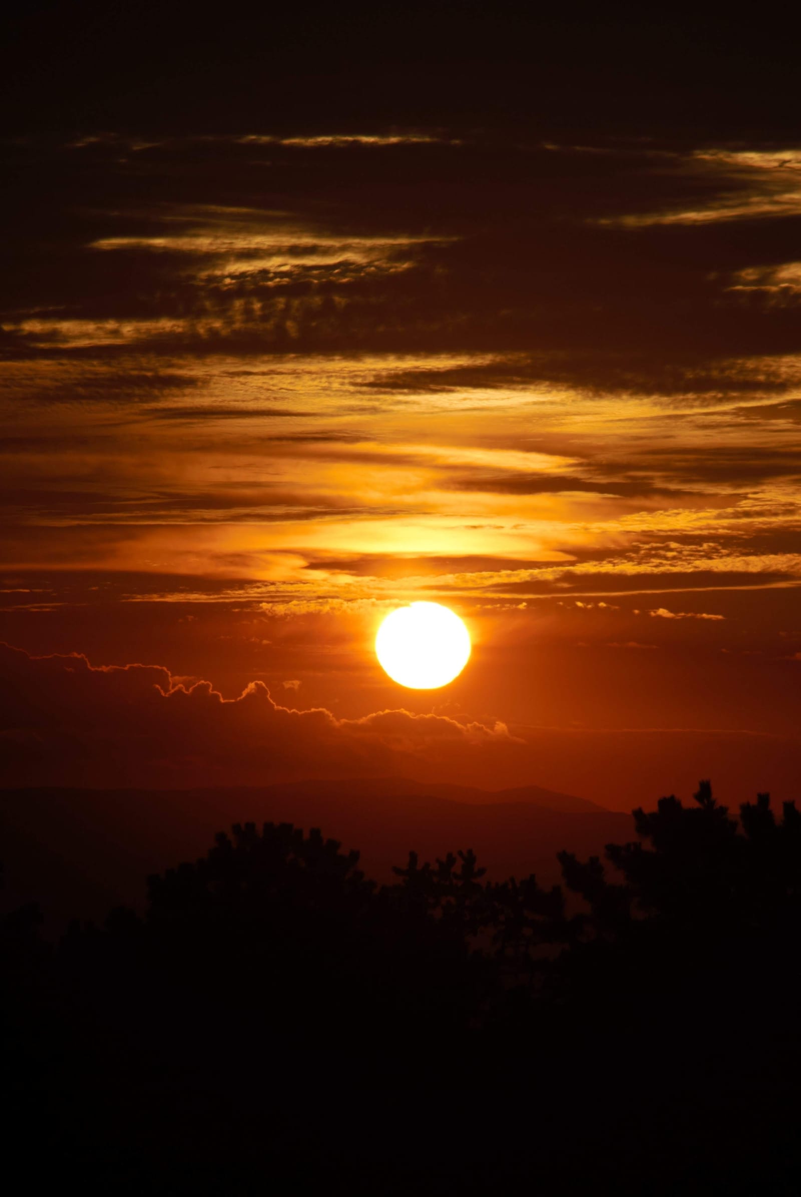 Sunset-20180707T203405.jpg