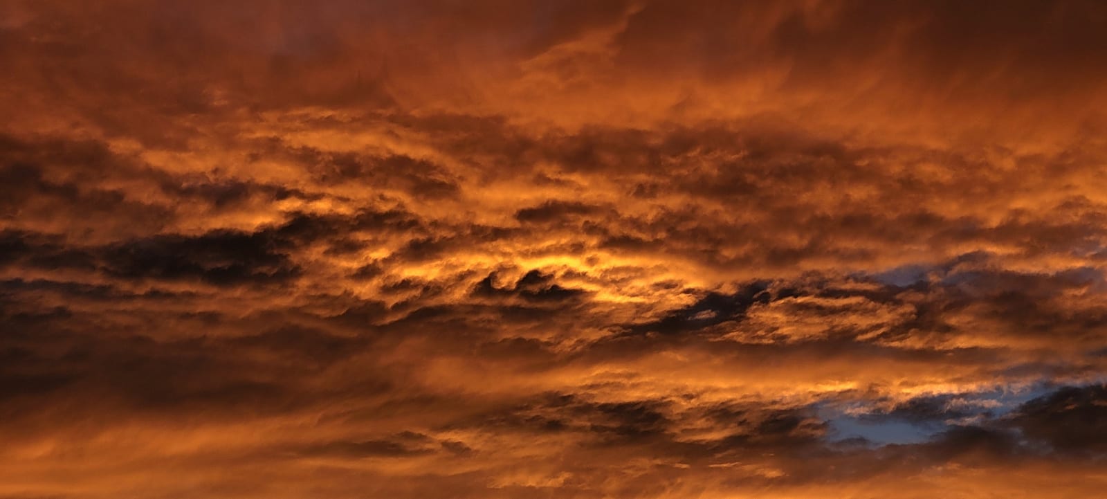 Sunset-20221001T192323.jpg