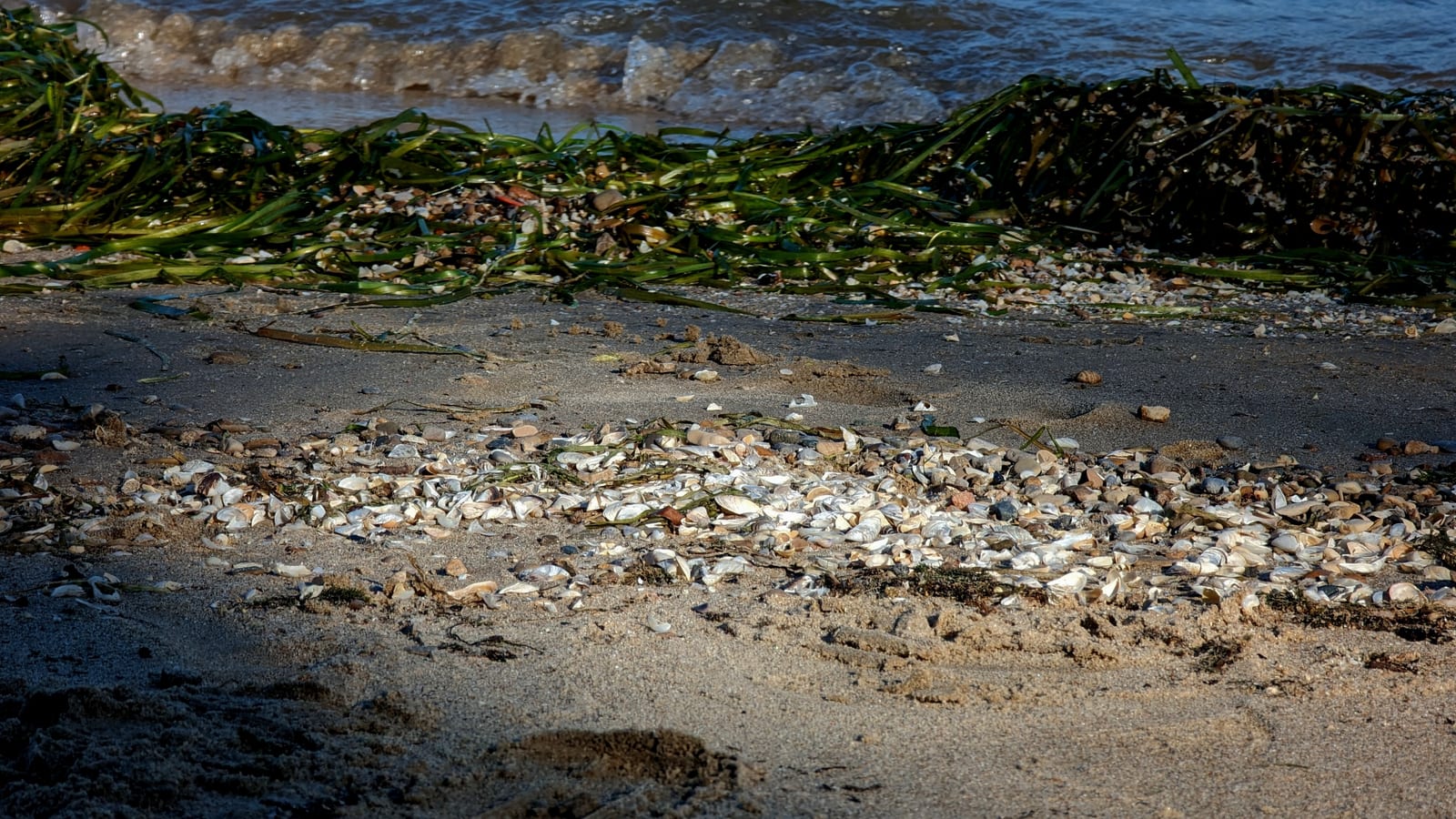 Surf.230930.2.a.jpg